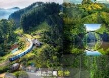 成人生活视频-成人生活视频，解锁成年世界的多彩视角
