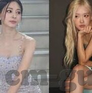 丁香婷婷在线中文字幕综合-丁香婷婷，在线中文字幕的综合魅力