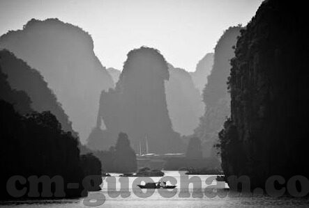 精品免费一区二区三区在线-探索网络资源的多元化，精品免费一区二区三区的在线平台
