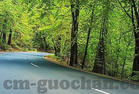 伦理漫画-伦理漫画，在笑料中反思的智慧之镜