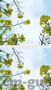 麻豆视传媒短视频免-麻豆视传媒，短视频领域的革新突破