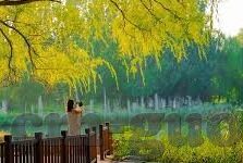 欧美成人免费视频午夜色-夜幕下的欧美成人文化探索，免费视频的多元视角
