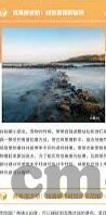 碰超成人在线公开免费视频-探索成人在线教育的新维度，免费视频的无限可能