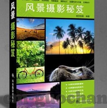 人妻密肉-爱的细腻纹理，人妻密肉中的情感交织