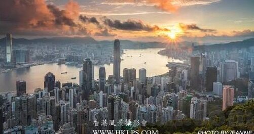 糖心app导航入口-糖心APP使用攻略与直觉体验分享