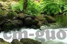 糖心vlog粉红情人-糖心Vlog，粉红情人的浪漫共鸣