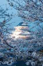 糖心v log官网最新入口-探索糖心Vlog新天地，解锁官方最新入口的非凡旅程