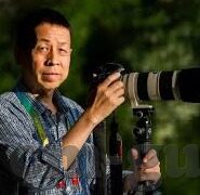 影音先锋日韩av-影音先锋，日韩AV文化的多元视角与文化交融